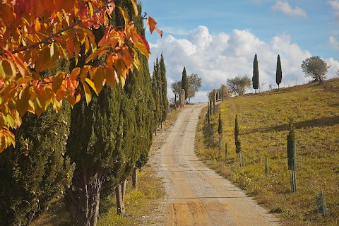 Fattoria Poggio al Sorbo