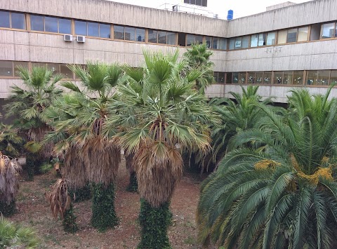 Università degli Studi di Bari - Facoltà di Economia