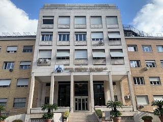 Istituto Dermopatico dell'Immacolata