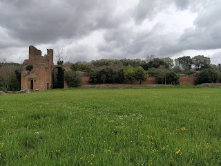 Porta trionfale del circo di Massenzio (Porta Triumphalis)