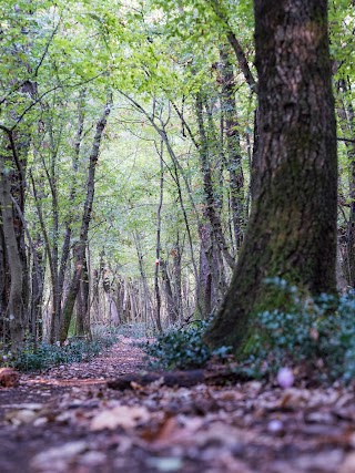 Area Attrezzata Macchia di Gattaceca e Macchia del Barco