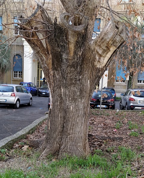 Radiologia Centrale - POLICLINICO UMBERTO I