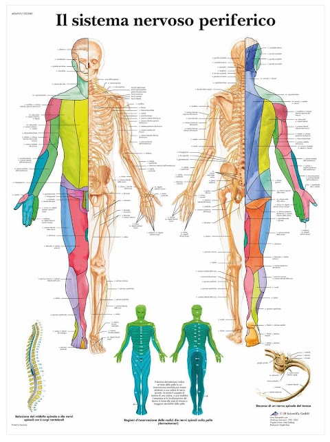 Studio di Fisioterapia Riccardo Alvino