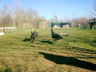 Centro Cinofilo "E il cane pensò..." ASD