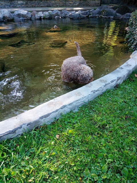 Parco Bollino