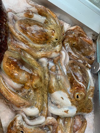 Calafish pescheria