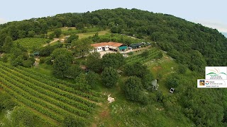 Azienda Agricola Del Monte