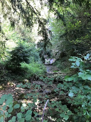 Cascata del parco della noce