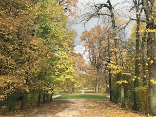 Parma Visite Guidate, Guida abilitata di Parma e dintorni