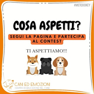 Centro di Educazione del Cane CANI ED EMOZIONI