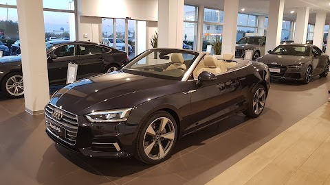 Magnifica-AUDI