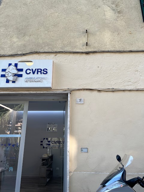 CVRS - Ambulatorio Veterinario di Colleferro
