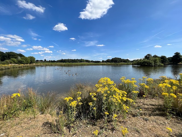 Richmond Park