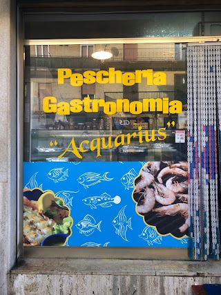 Pescheria Acquarius Pesce fresco e pescato di qualità Gastronomia di Pesce a Ragusa