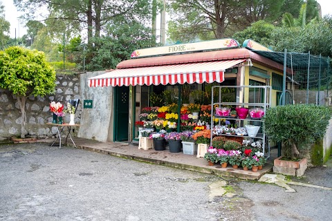 Fiore Vito Chioschetto