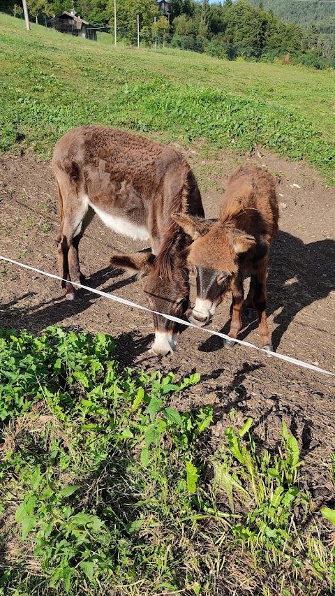 Agritur Al Marter