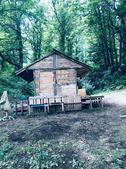 Scuola nel Bosco di Siano