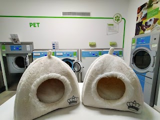 Laundry4pets Cavezzo