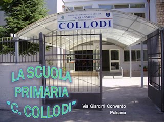 Scuola Primaria Collodi