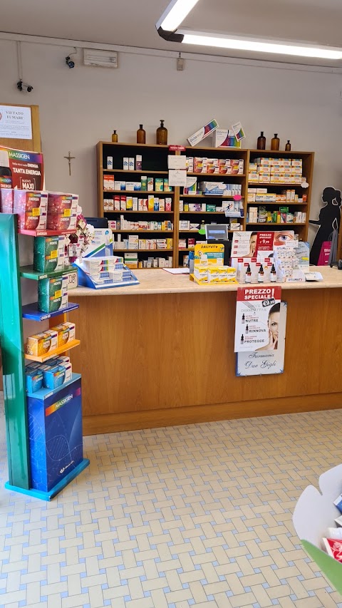 Farmacia Due Gigli