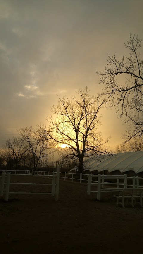 Bologna equestrian center