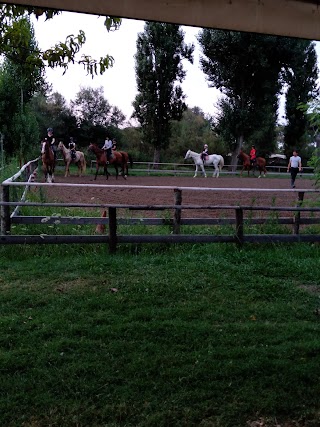 Circolo Ippico In Albarella