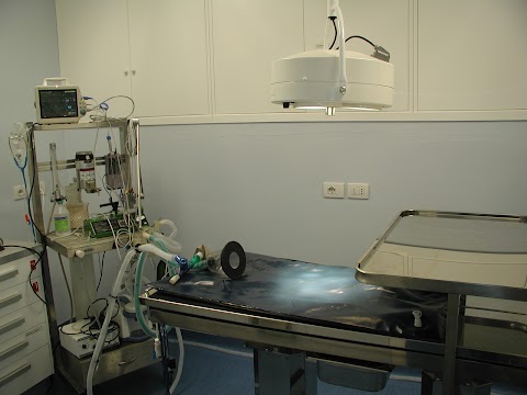 Ambulatorio Veterinario Bagno a Ripoli