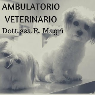 Ambulatorio Veterinario Dott.ssa Rosaria Magrì