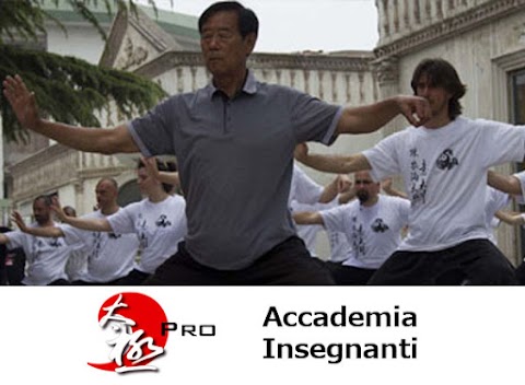 Tai Chi Bologna Matteotti - Wang Xian Taiji Italy