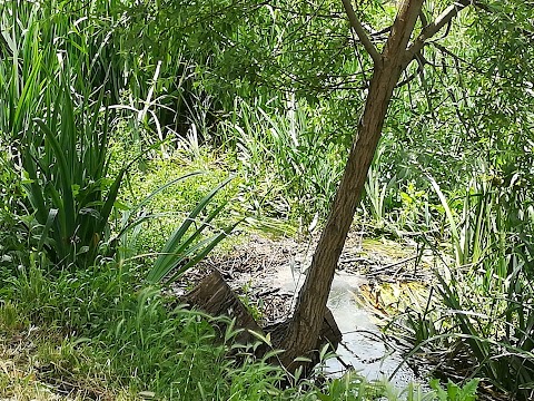 lago di settecannelle