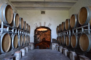 Antiche Cantine Terenzi Mario