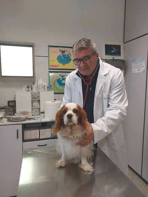 Ambulatorio Veterinario Santa Maria - Dott. Dante Delle Rose