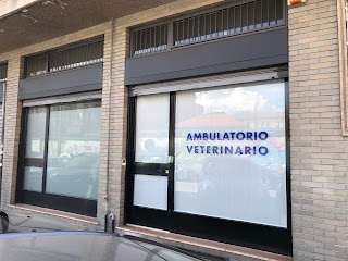 Ambulatorio Veterinario Dott. Panzeri Massimo