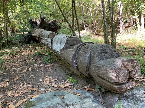 Bosco magico di Dazio