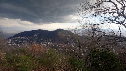 Monte Trippodi