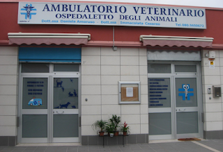 Ambulatorio Veterinario Ospedaletto Degli Animali