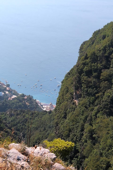 La Ginestra - Cooperativa agrituristica e apistica