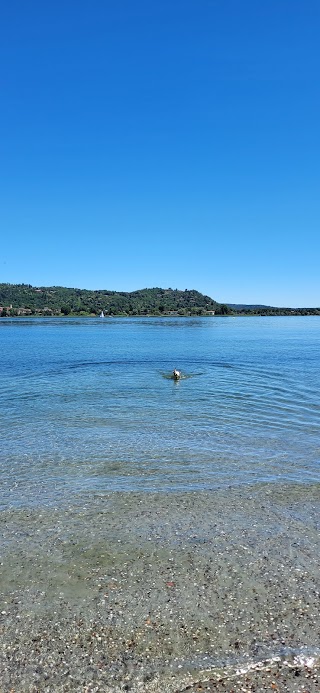 Accesso Spiaggia Cani