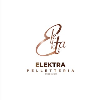 Elektra Shop & Lab