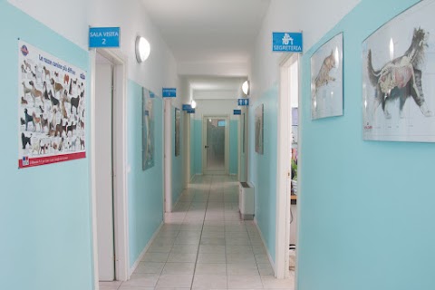 Ambulatorio Veterinario San Anastasio
