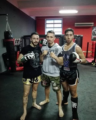 Fight Team School