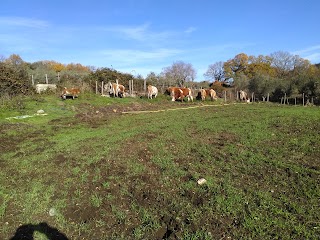 Azienda Agricola LA CONCIA agriristoro