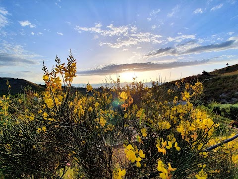 Parco della Conoscenza e del Benessere