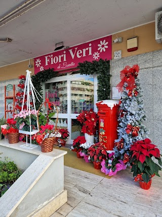 Fiori Veri di Loretta