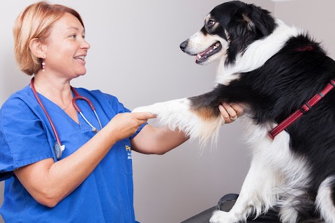 Studio Veterinario La Fenice