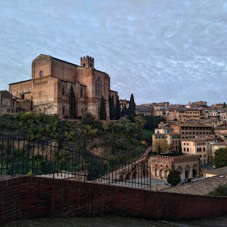 Teatro del Costone