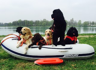 SICS - Scuola Italiana Cani da Salvataggio