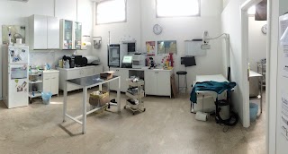 Ambulatorio Veterinario Campani Muzzi Lei