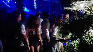 Coconut Discoteca