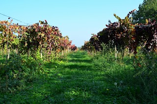 Dipartimento di Scienze e Tecnologie Agro-Alimentari - DISTAL | Università di Bologna